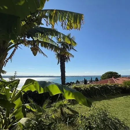 Kinkela * Portorož