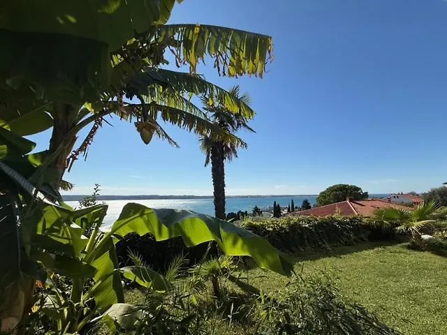 Kinkela * 波尔托罗